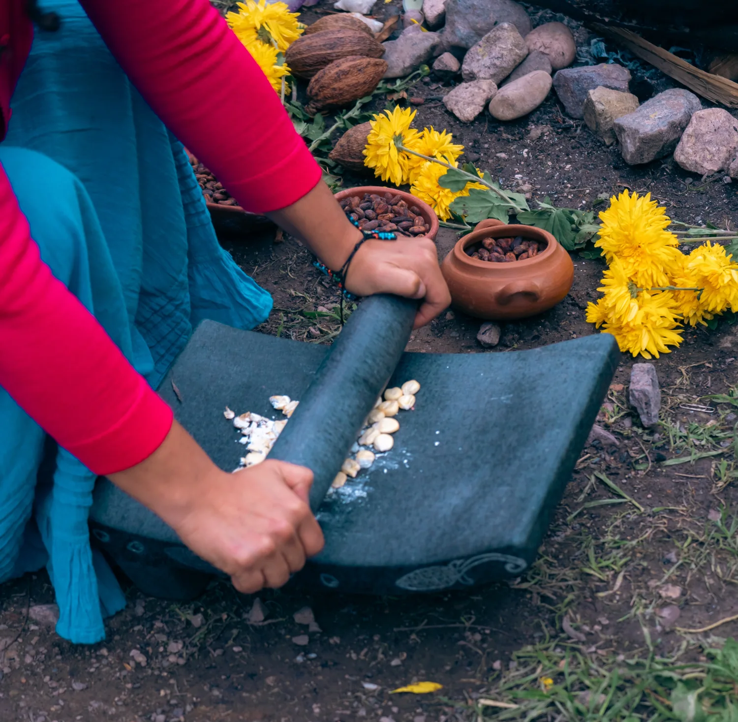 Preparación artesanal de cacao sobre una piedra de moler